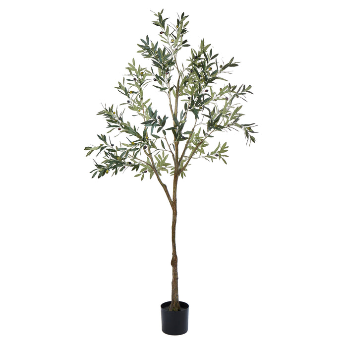 Rogue Olive Tree Green