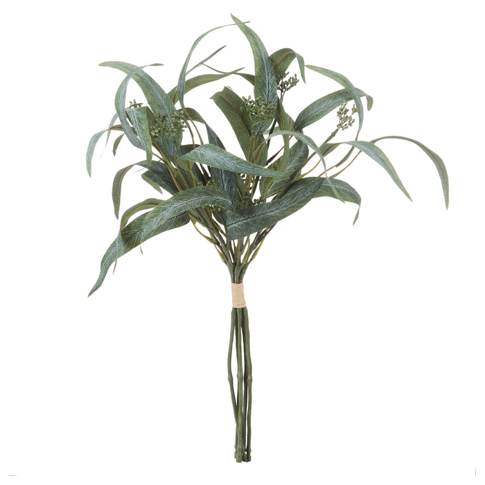 Rogue Eucalyptus Seeding Bunch Green