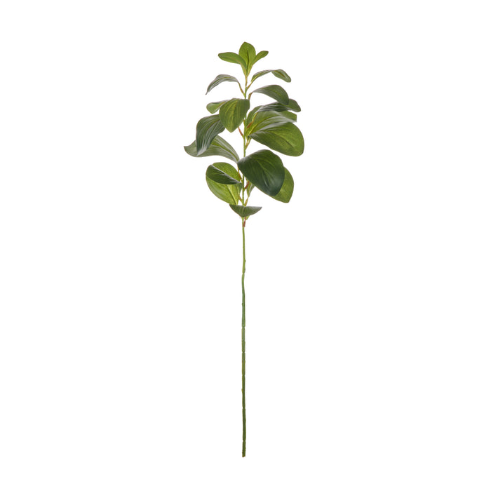 Rogue Lush Leaf Single Stem Green