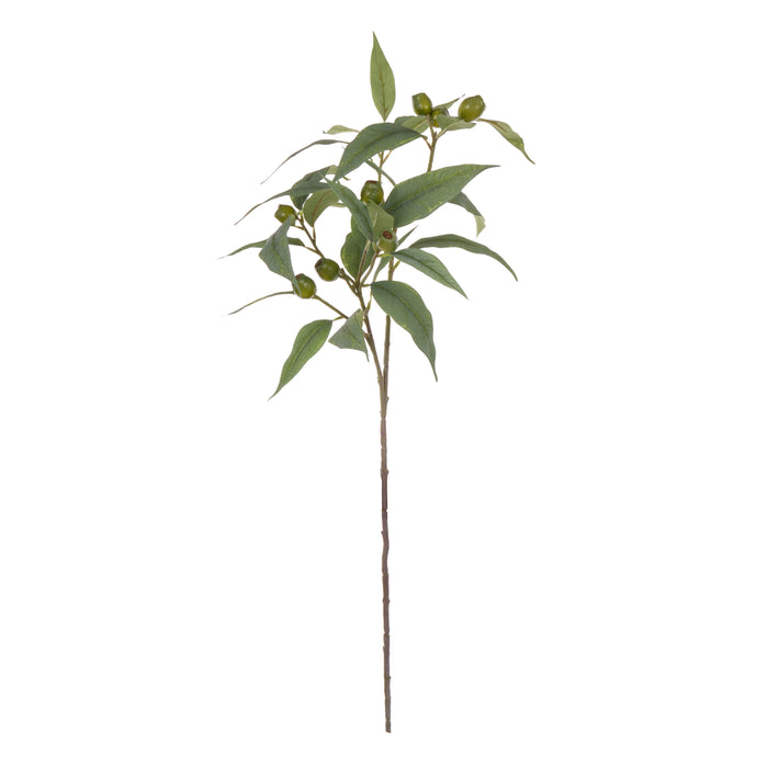 Rogue Eucalyptus Gum Nut Spray Green