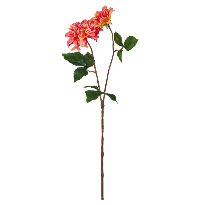 Rogue Dahlia Bud Stem Orange