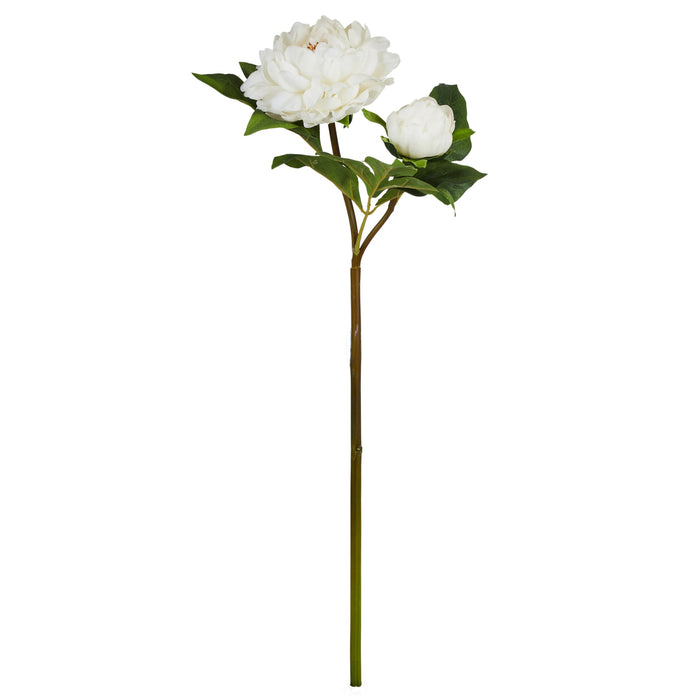 Rogue Peony Bud Stem Cream