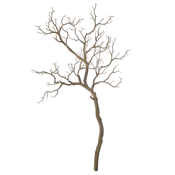 Rogue Single Try Branch Brown