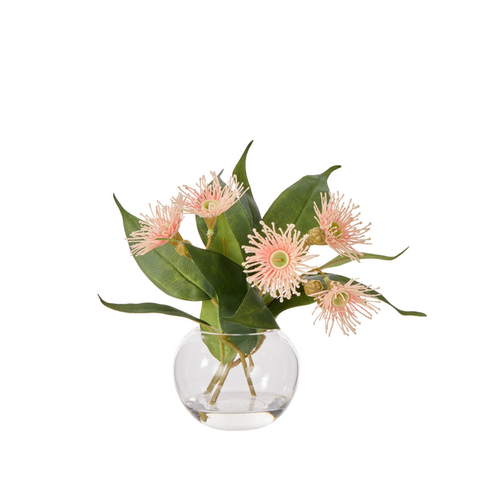 Rogue Flowering Eucalyptus - Sphere Pink & Green