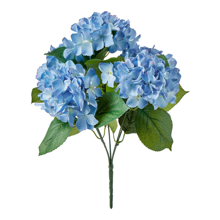 Rogue Hydrangea Bush Soft Blue