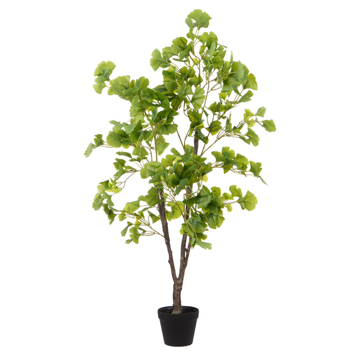 Rogue Ginkgo Tree Green