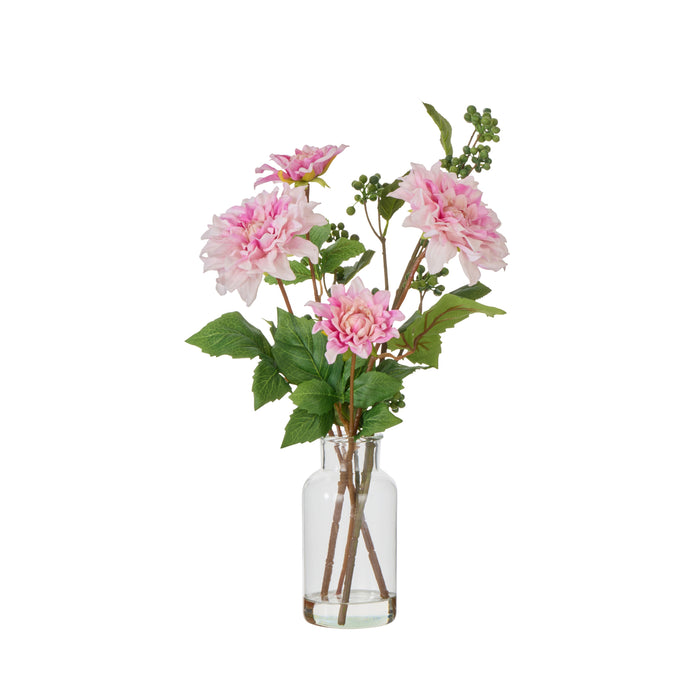 Rogue Dahlia Dewberry Mix - Specimen Pink & Purple