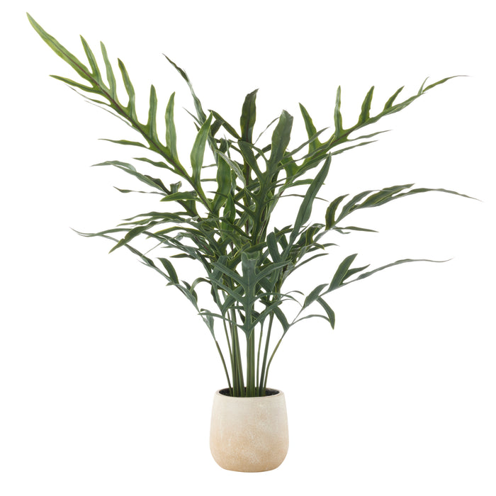 Rogue Blue Star Fern Pot Green