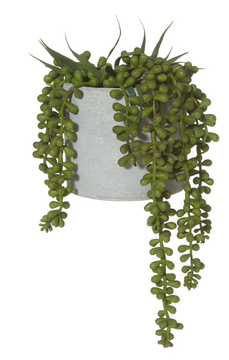 Rogue String of Pearls - Cement Pot Green/Grey