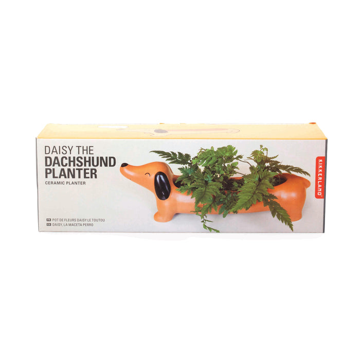 Kikkerland Daisy The Dachshund Planter Brown