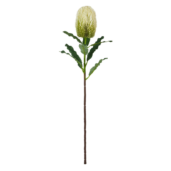 Rogue Banksia Stem White