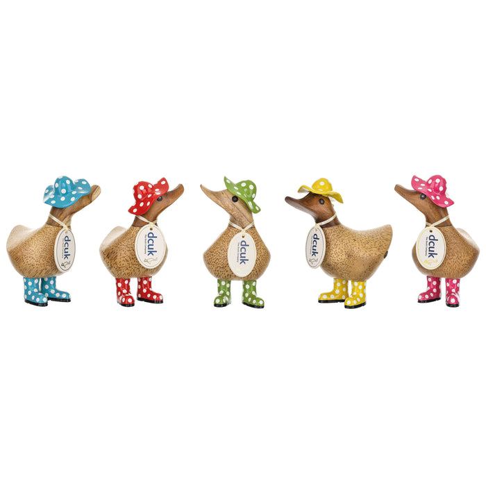 DCUK Spotty Hat Ducky CDU 10pcs/5 Assorted