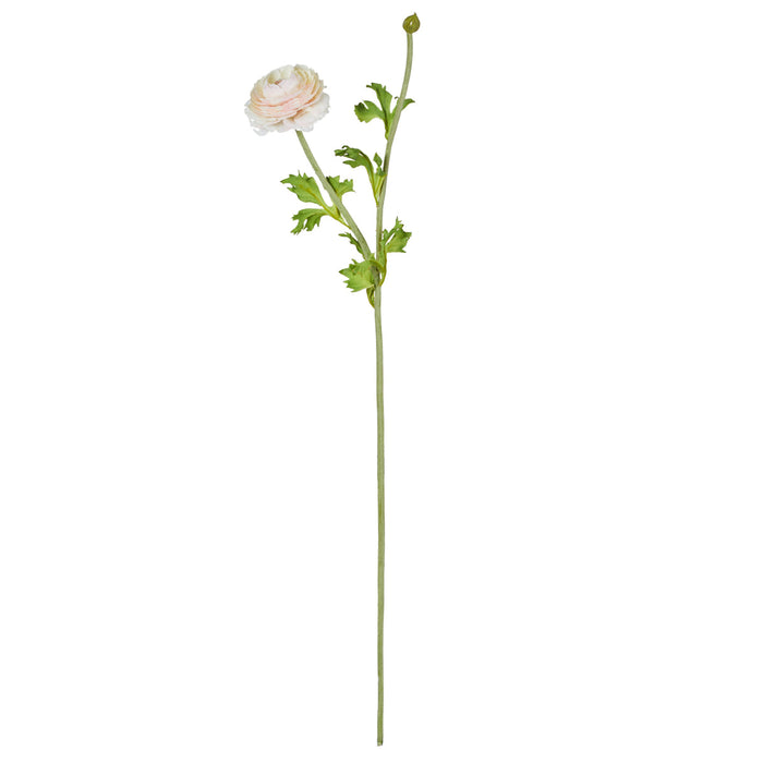 Rogue Ranunculus Spray Pink