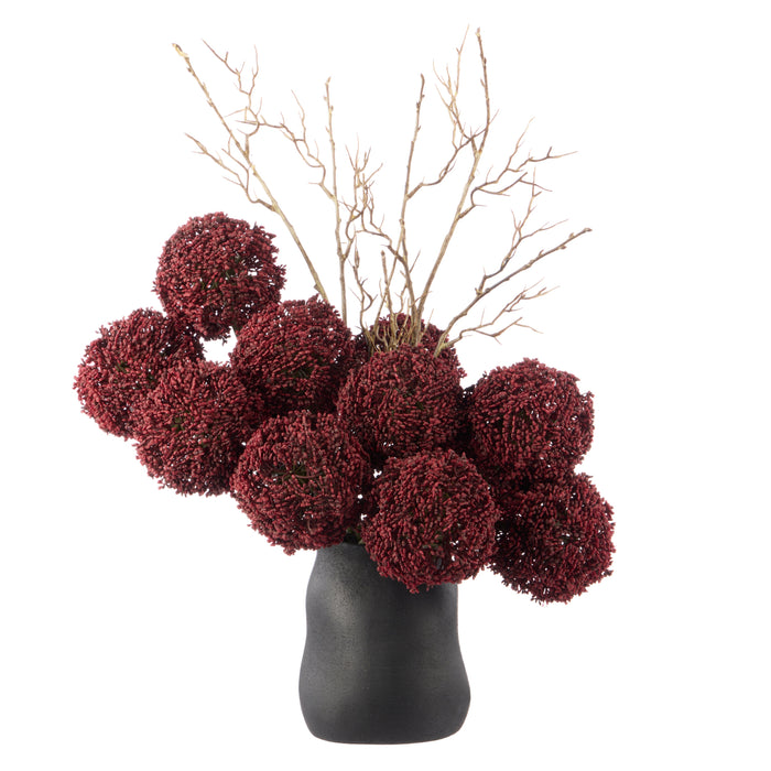 Rogue Allium - Maliah Pot Purple