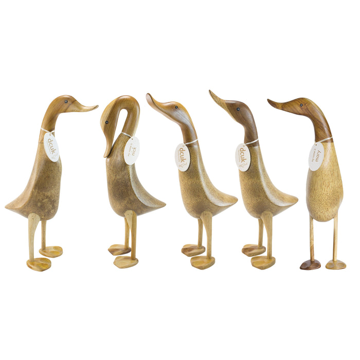DCUK Natural Wooden Duck 5 Assorted Natural