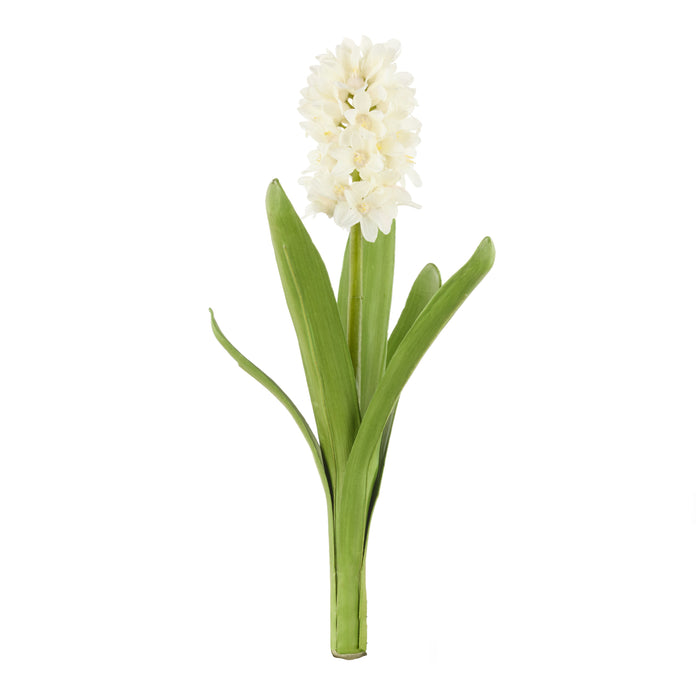 Rogue Hyacinth with Leaves Stem White