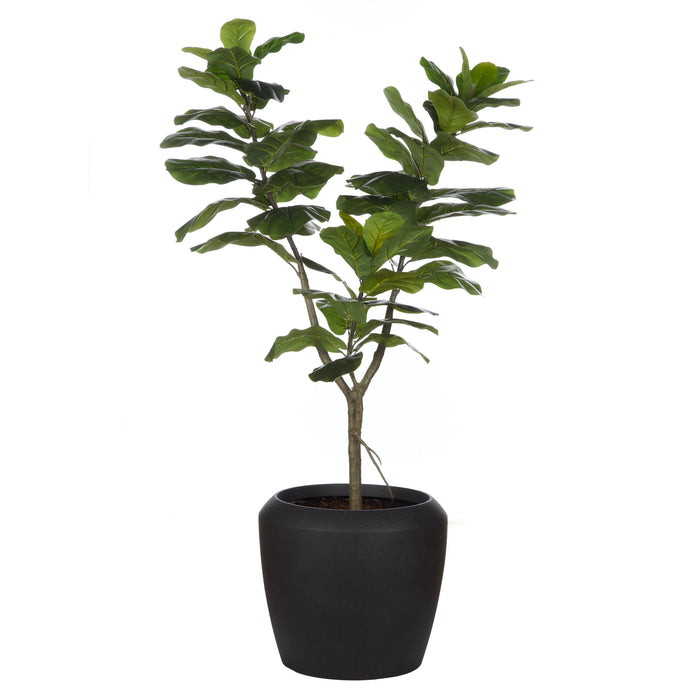 Rogue Giant Fiddle Plant - Vienna Planter Green