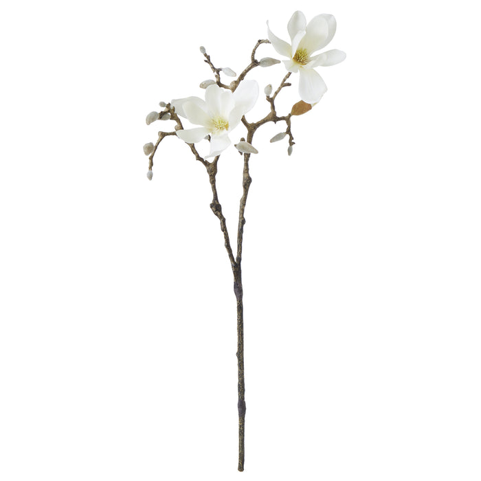 Rogue Tree Magnolia Flower Cream