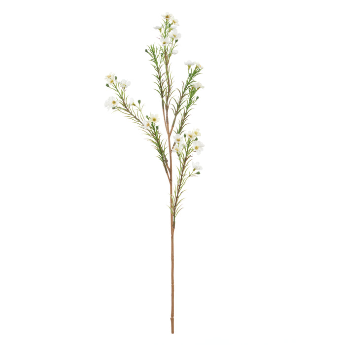 Rogue Wax Flower Spray White