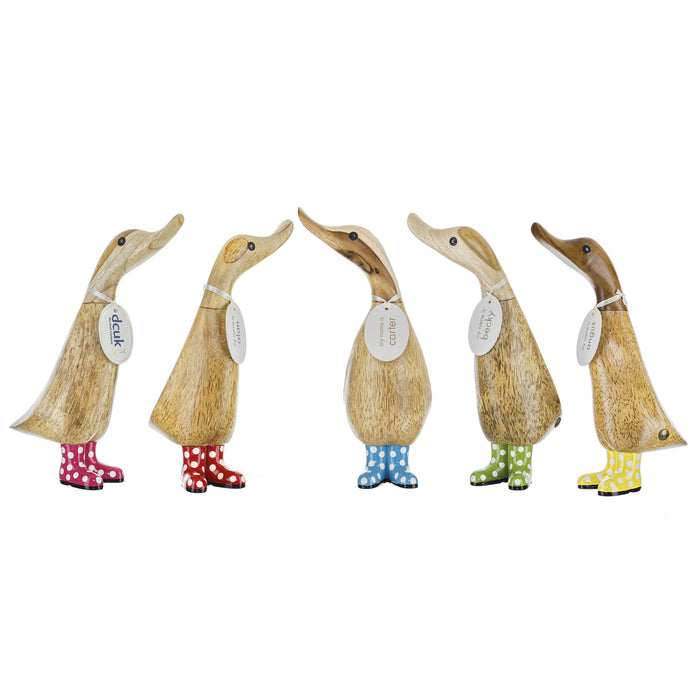 DCUK Natural Welly Duckling Spotty 5 Assorted