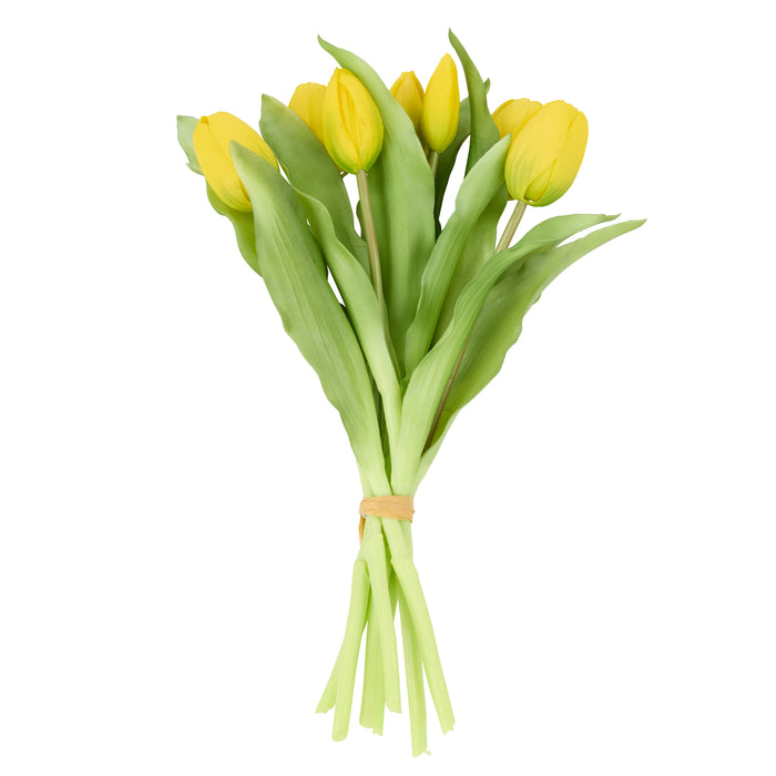 Rogue Tulip Bunch Yellow