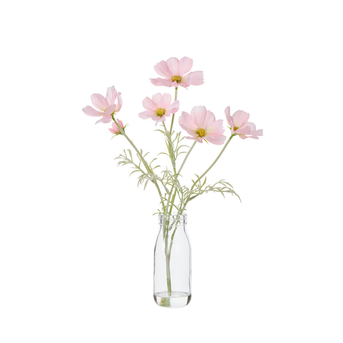 Rogue Cosmos in Milk Bottle Pink
