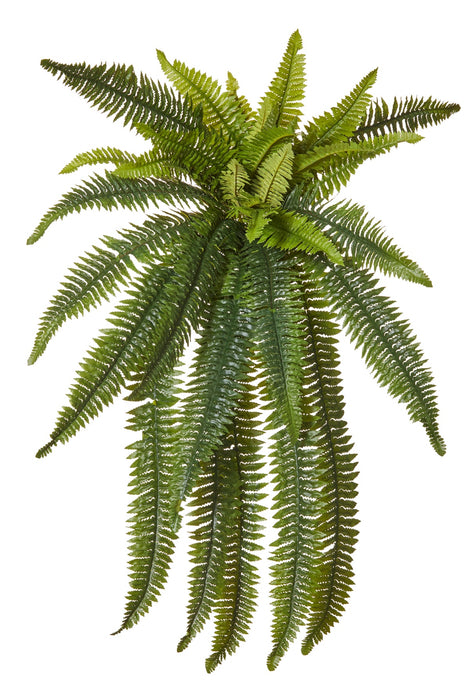 Rogue Boston Wall Fern Green