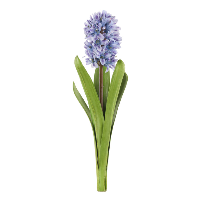 Rogue Hyacinth with Leaves Stem Purple