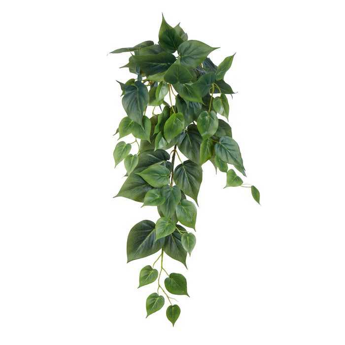 Rogue Philodendron Hanging Bush Green