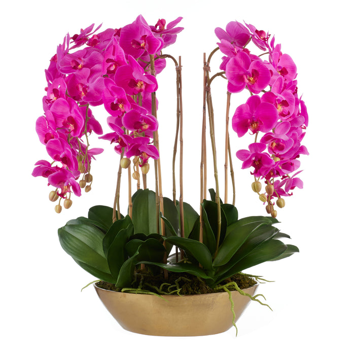 Rogue Phalaenopsis Orchid - Metal Bowl Pink