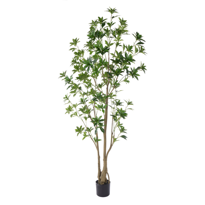 Rogue Japonica Tree UV - Garden Pot Green