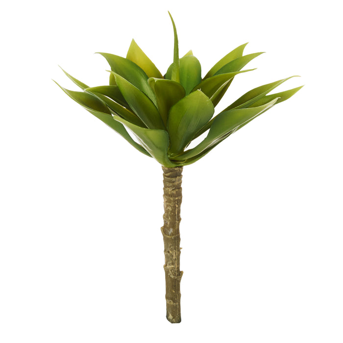 Rogue Mini Agave Green
