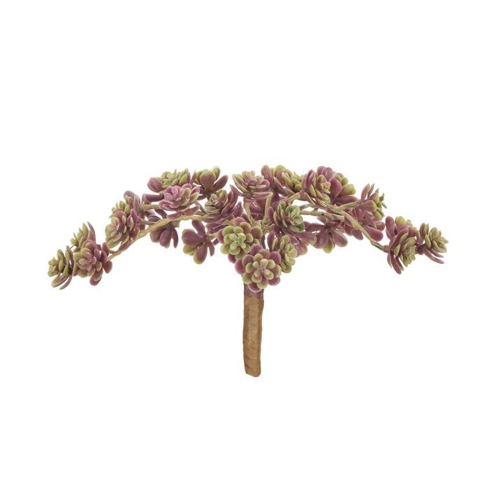 Rogue Mini Houseleek Spray Burgundy