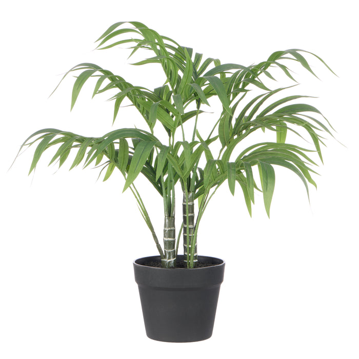 Rogue Cascade Palm Green