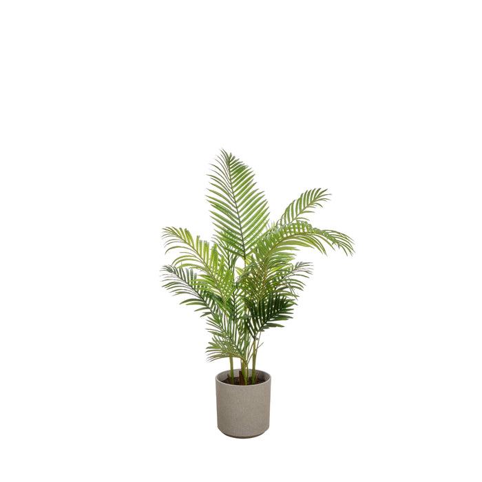 Rogue Areca Palm - Cylinder UV Green