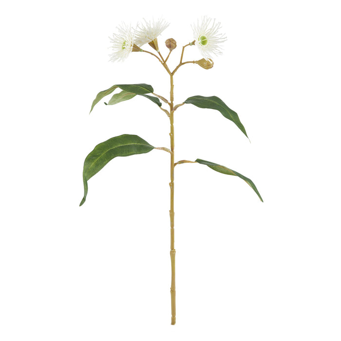 Rogue Eucalyptus Flowering Spray White