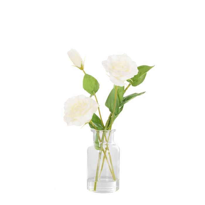 Rogue Lisanthus - Specimen Glass Vase White