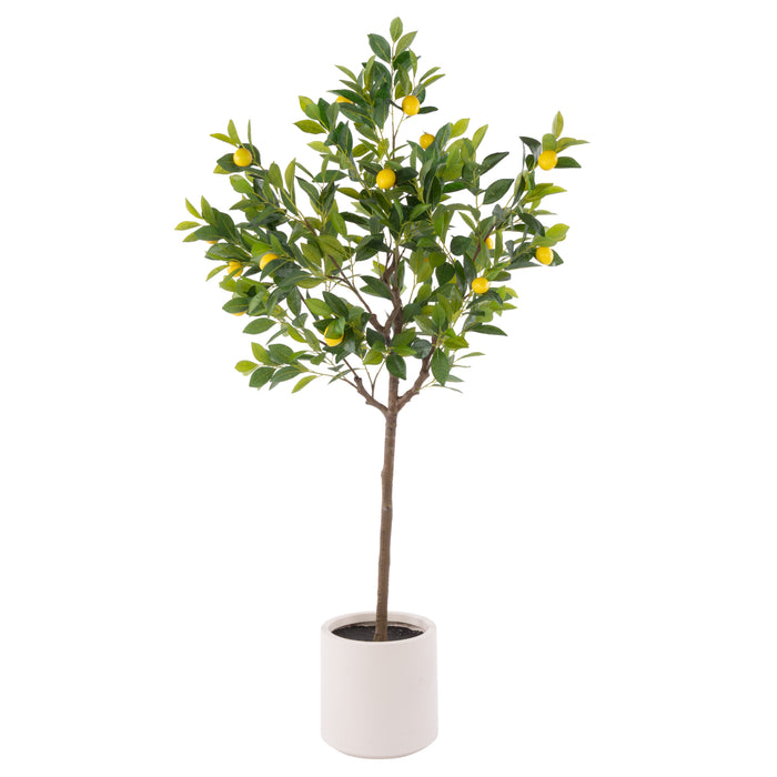 Rogue Lemon Tree Potted Green