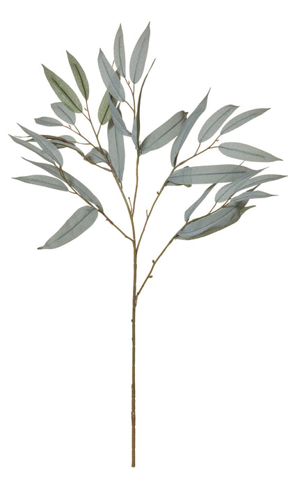 Rogue Eucalyptus Spray Grey Green