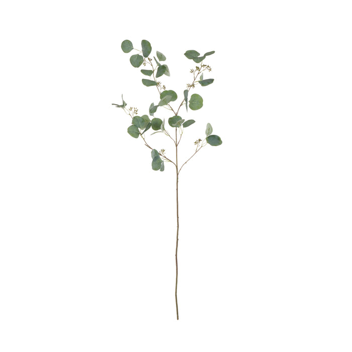 Rogue Eucalyptus Seeded Spray Green