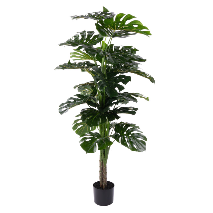 Rogue Monstera UV - Garden Pot Green