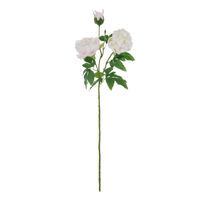 Rogue Peony Spray Real Touch White & Pink
