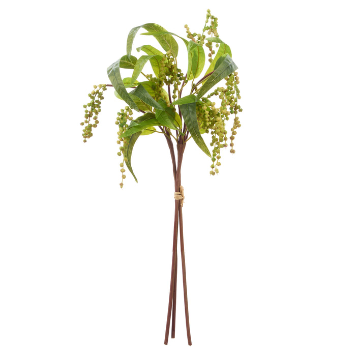 Rogue Golden Wattle Bunch Green & Yellow