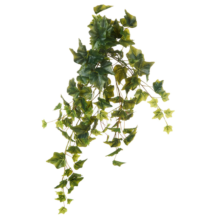 Rogue Ivy Hanging Bush Green