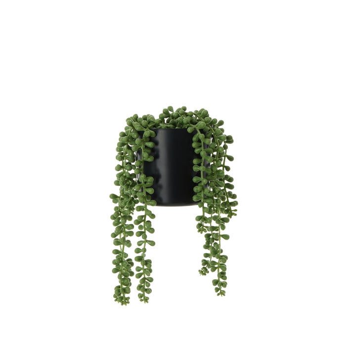 Rogue String of Pearls - Garden Pot Green