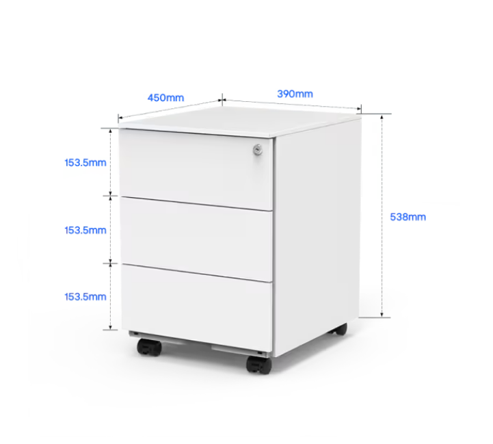 Flexispot RC2 Storage Cabinet: Secure, Smart Storage for Every Space