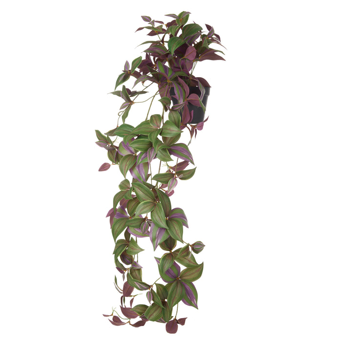 Rogue Wandering Dude Hanging - Garden Pot Purple & Green