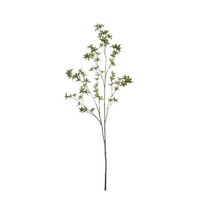 Rogue Azalea Spray Green