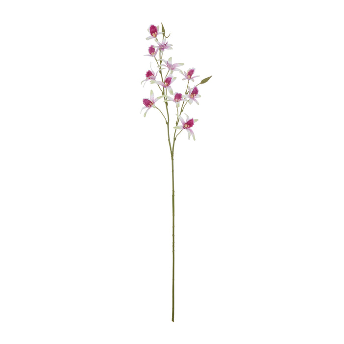 Rogue Dendrobium Spray White & Purple