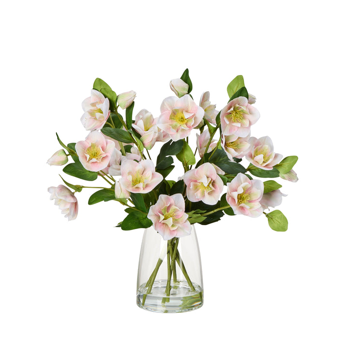 Rogue Helleborus - Glass Vase Pink